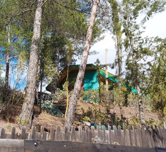 Image No.13-Villa de 3 chambres à vendre à Mandria