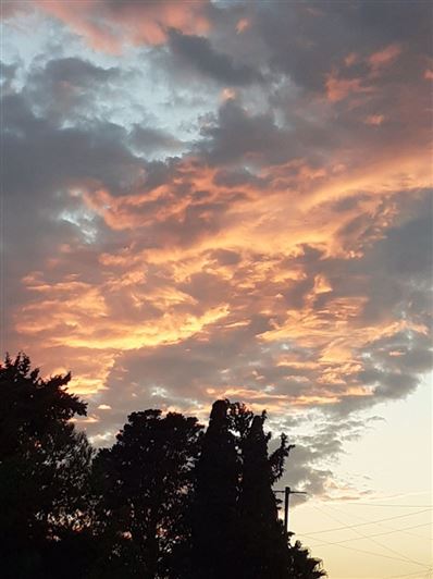 Image No.23-Villa de 3 chambres à vendre à Mandria