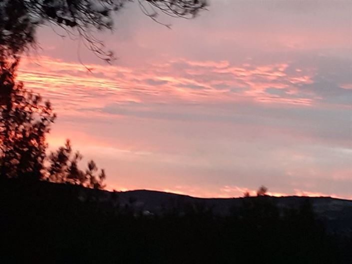 Image No.24-Villa de 3 chambres à vendre à Mandria