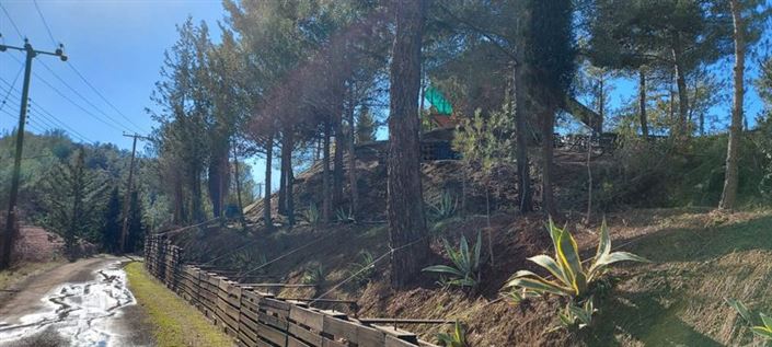 Image No.25-Villa de 3 chambres à vendre à Mandria