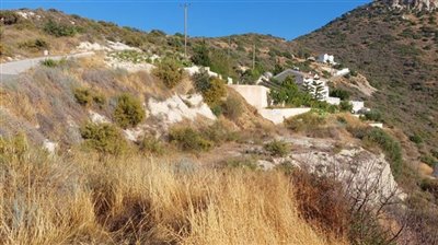 whatsapp-image-2022-06-23-at-101451-am