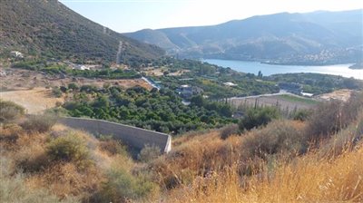 whatsapp-image-2022-06-23-at-101450-am