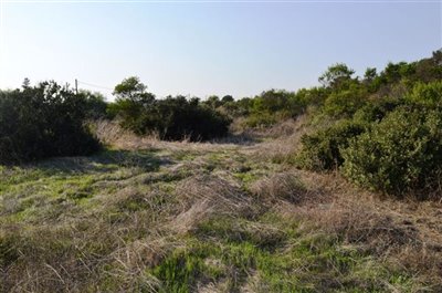 plot-from-the-right-c