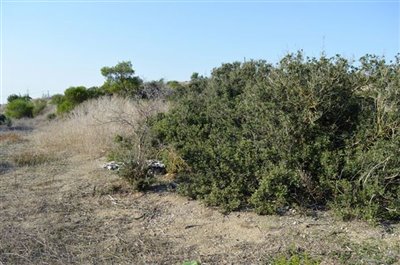 plot-from-the-right-a