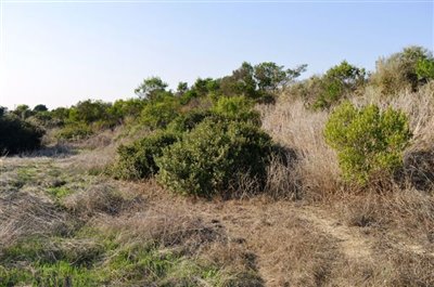 plot-from-the-right-b