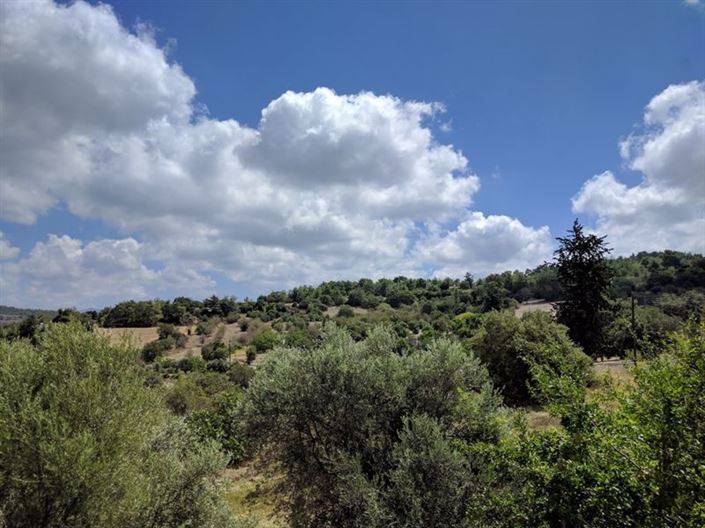 Image No.14-Villa de 3 chambres à vendre à Lysos