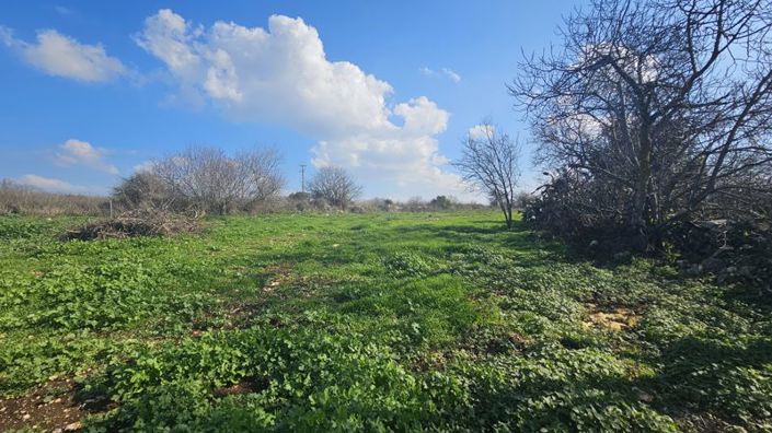 Image No.30-Villa de 2 chambres à vendre à Ineia