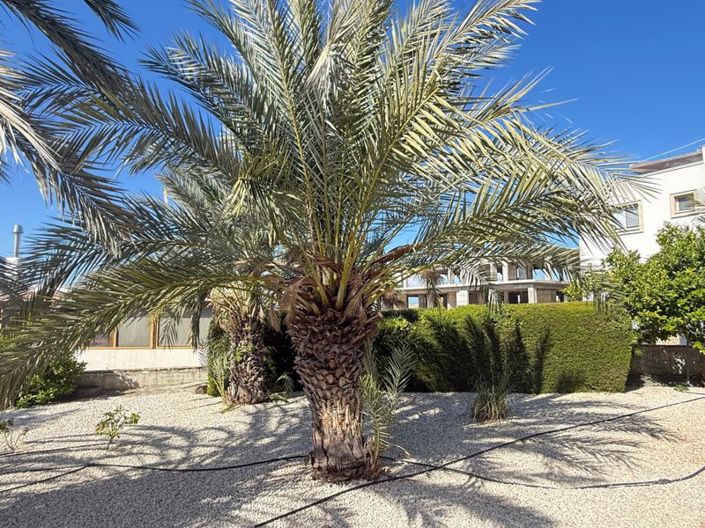 Image No.16-Appartement de 3 chambres à vendre à Kissonerga