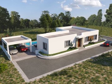 final-daniella-cam-5-copy