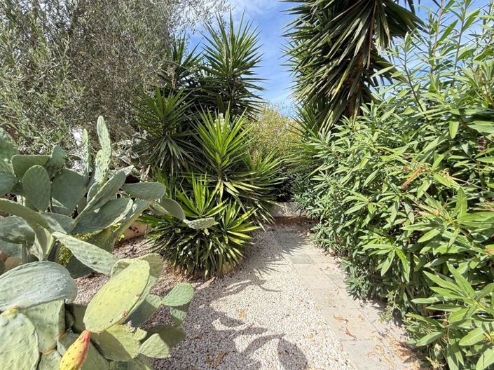 Image No.23-Villa de 3 chambres à vendre à Chloraka