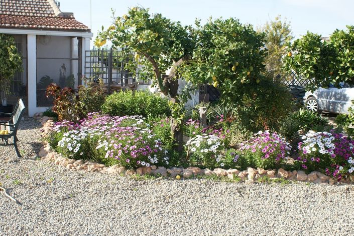 Image No.14-Maison de campagne de 7 chambres à vendre à Fuente Álamo