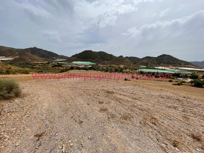 Image No.30-Maison de campagne de 4 chambres à vendre à Mazarron