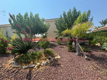 795-detached-villa-for-sale-in-bolnuevo-19883