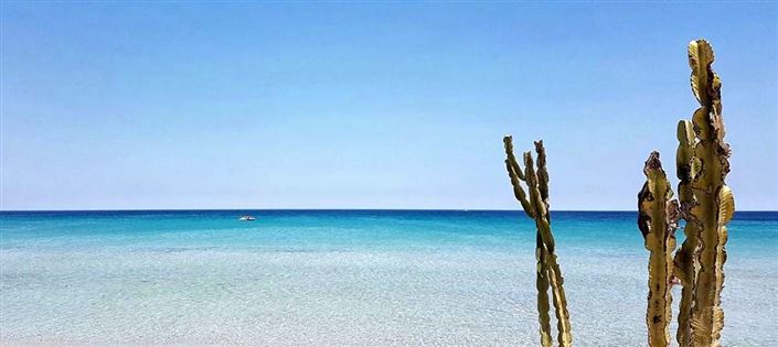 Image No.23-2 Bed Apartment for sale