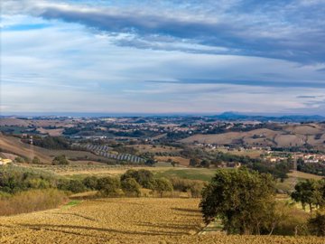 vendita-gruppo-di-fabbricati-pesaro-e-urbino-