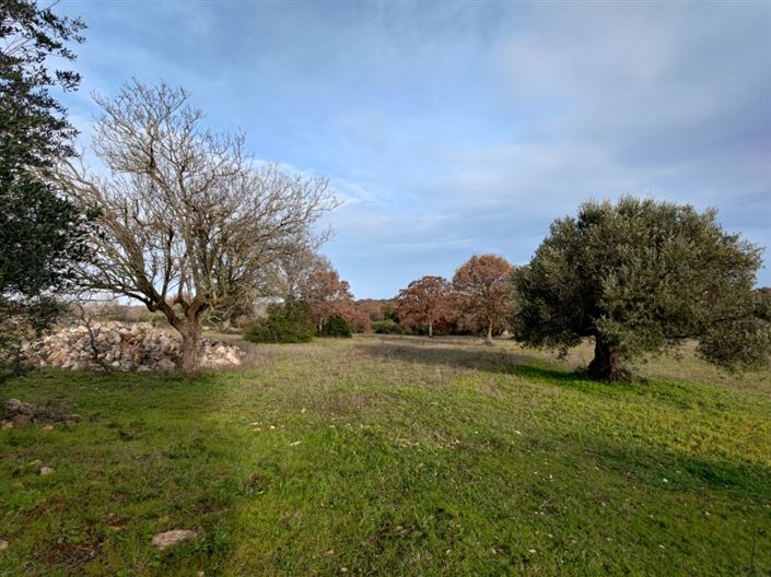 Image No.12-3 Bed Country House for sale