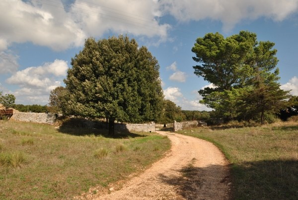 Image No.12-4 Bed Country House for sale