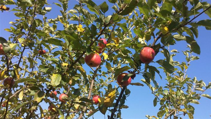 Image No.26-10 Bed Country Property for sale