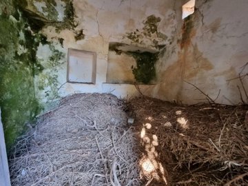 vendita-gruppo-di-fabbricati-brindisi-rif-nib