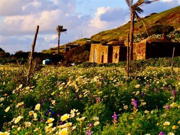 1 - Pantelleria, Maison