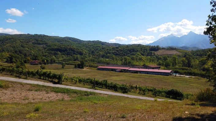 Image No.2-15 Bed Country House for sale