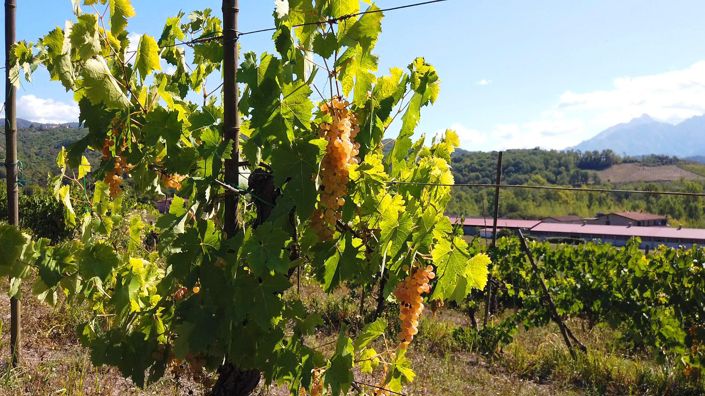 Image No.25-15 Bed Country House for sale