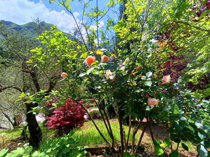 Image No.23-3 Bed House/Villa for sale