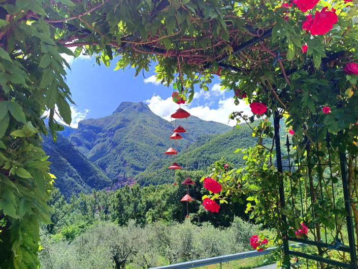 Image No.45-3 Bed House/Villa for sale