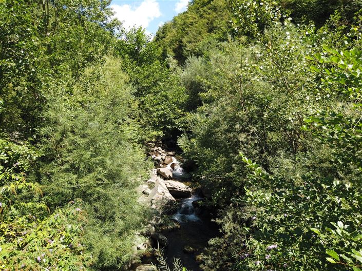 Image No.12-2 Bed House for sale