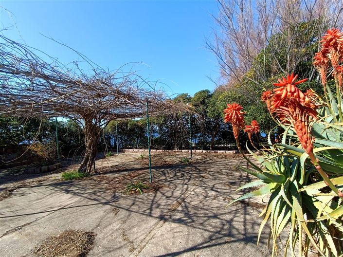 Image No.18-6 Bed House for sale