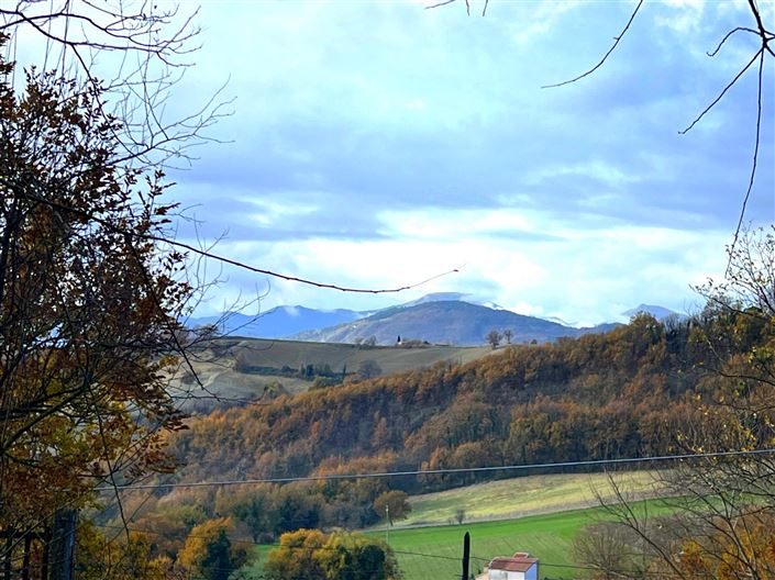 Image No.17-4 Bed House for sale