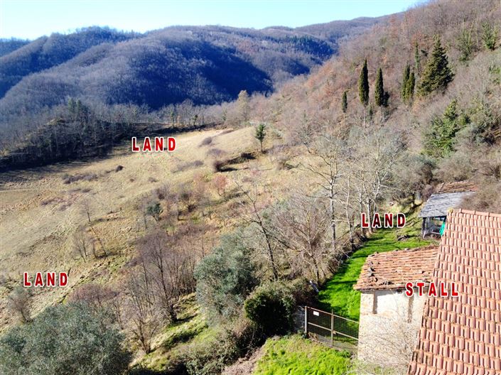 Image No.13-5 Bed Country House for sale