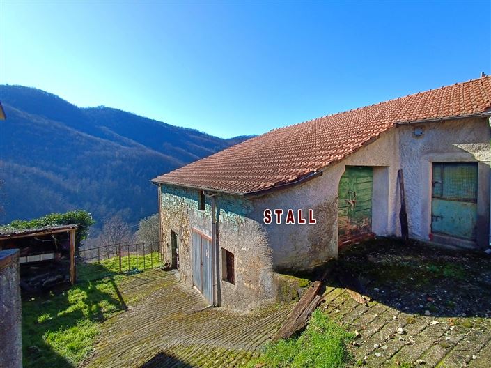 Image No.8-5 Bed Country House for sale