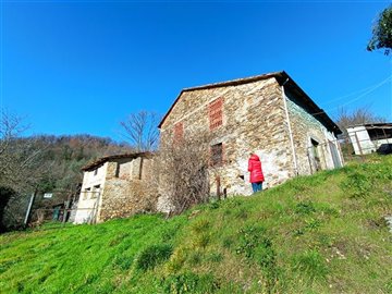 vendita-gruppo-di-fabbricati-massa-carrara-ri