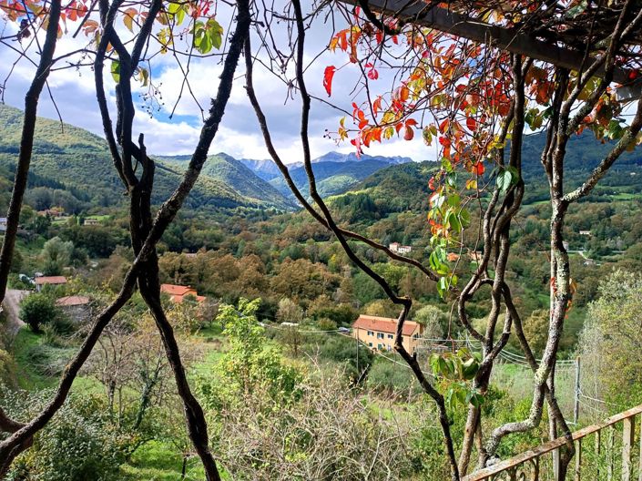 Image No.25-2 Bed House for sale