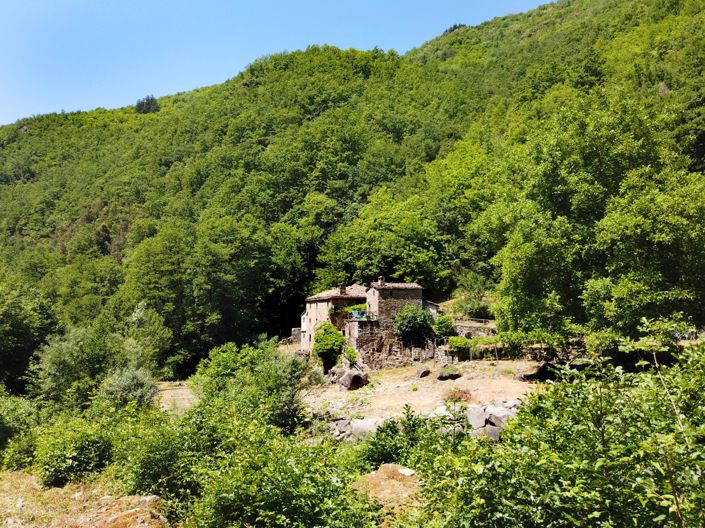 Image No.3-5 Bed House for sale