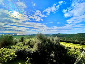 vendita-propriet-semi-indipendente-grosseto-r