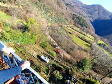 d1717030520251720472