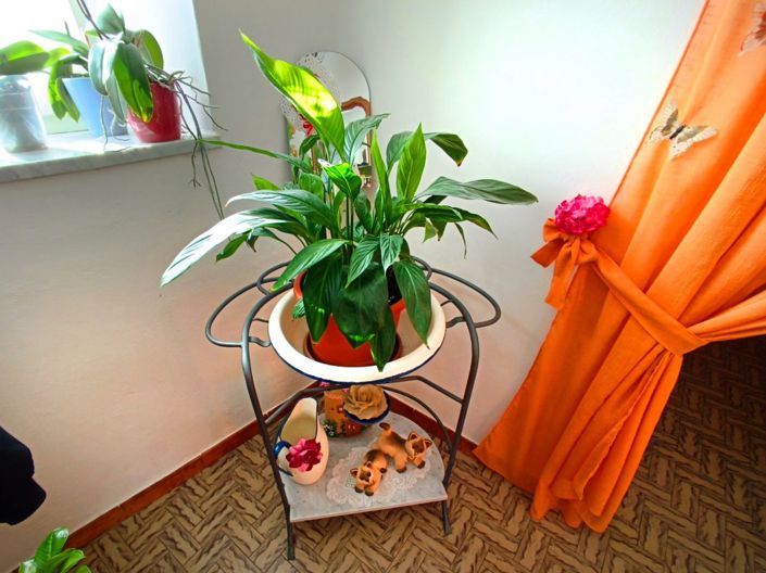 Image No.11-5 Bed House for sale