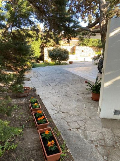 Image No.30-3 Bed House for sale