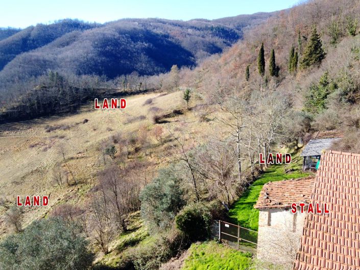 Image No.12-5 Bed Country House for sale