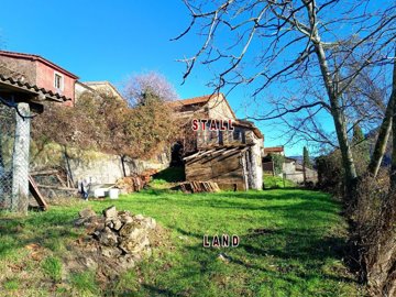 d1735040520251423019