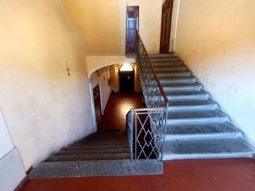 d1733040520251411107