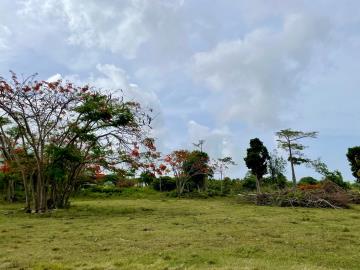 Paradise-Millside---5