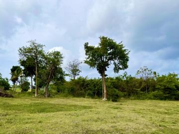 Paradise-Millside---6