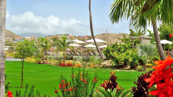 Image No.14-Studio for sale