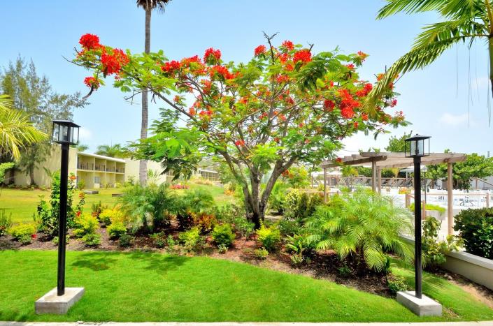 Image No.16-Studio for sale