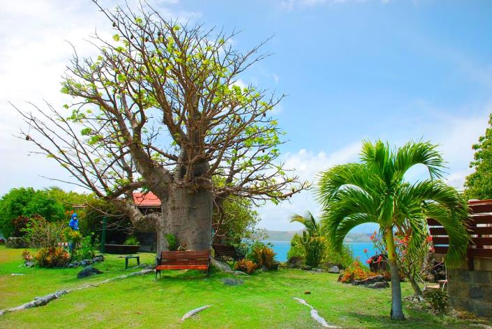 Image No.12-18 Bed Hotel for sale