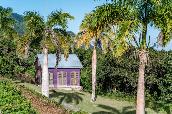 Image No.34-Propriété de pays de 6 chambres à vendre à Nevis