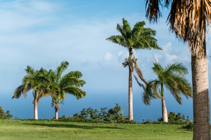 Image No.38-Propriété de pays de 6 chambres à vendre à Nevis